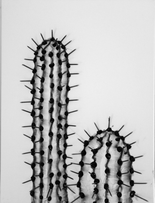 cactuz_0535_30x40